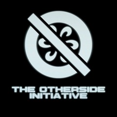 THE OTHERSIDE INITIATIVE