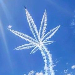🕴️cubob420✌️☕🚬🌅☘️😵‍💫☮️