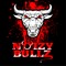 Noizy Bulls
