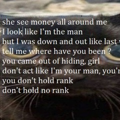 catnip n shit