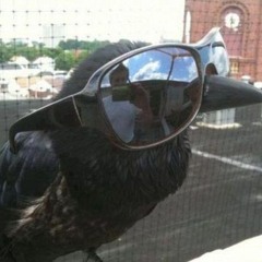 flybird