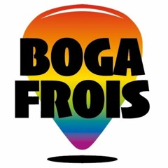 Boga Frois - cover band Imola