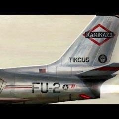 fearless cheetah0822