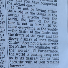 BrownbearTheDinosaur