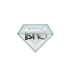 Bvvs1