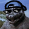 Minilla477