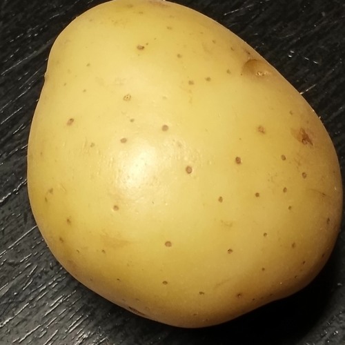 the  potato 🥔’s avatar