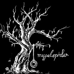 mypetspider