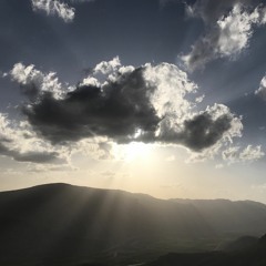 داود شکوهی