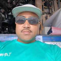 Jerry Telea