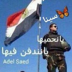 سينا يانحميها يانندفن فيها