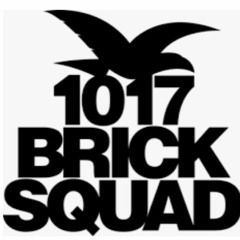 BRICKSQUADONTOP