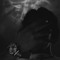 L.Savage