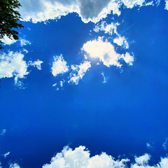 Dream
