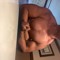 natty vegan lifter