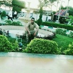 Alaa Hshka