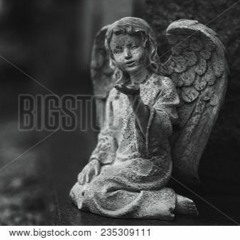 fallen.angel.aa