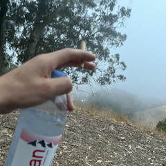 cilindrs