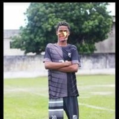 Mete Fixa