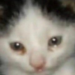 sadandsadder