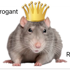 Arrogant Rat