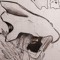 Feral_Cro