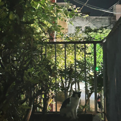 o.t.c_g1
