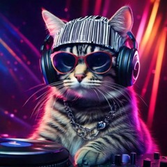 DJ Boleto