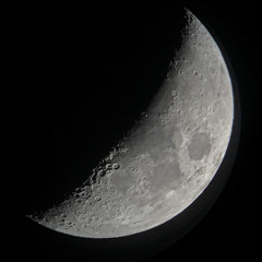 أحمد الذبياني