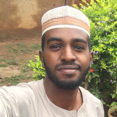 Amjed Elnaeem Ahmed