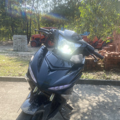 BaoHoang
