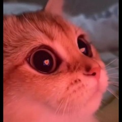 lilgodisdabest