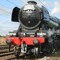 FlyingScotsman4472