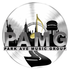 ParkAve MusicGroup