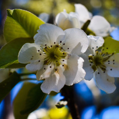 Skylar Is a booknerd