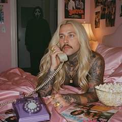 DESTROYED by Seek N Destroy