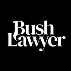 Bush Lawyer