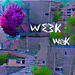 WE3K