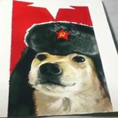 soviet doggo