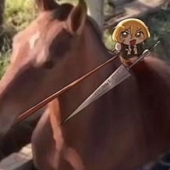 Don Quix(smol)Ote