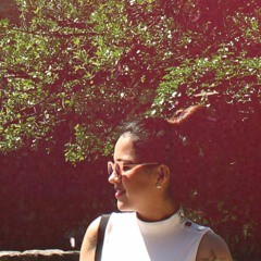 Camba Interplanetaria