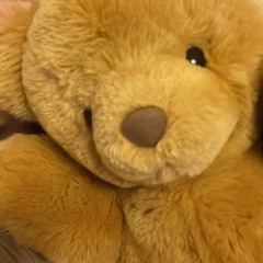 love4teddybears
