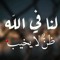 السيد عبدالمنعم سند