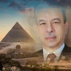 مجدى الشربينى
