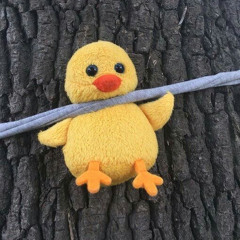 ﮼ب