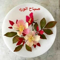 saifmm