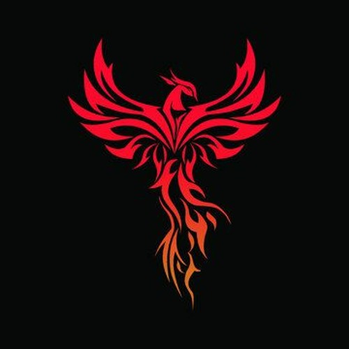 Phoenix Music’s avatar