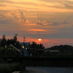 محمد البريكي