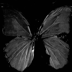 Lilith Al-shaher