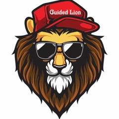 Guided Lion Records